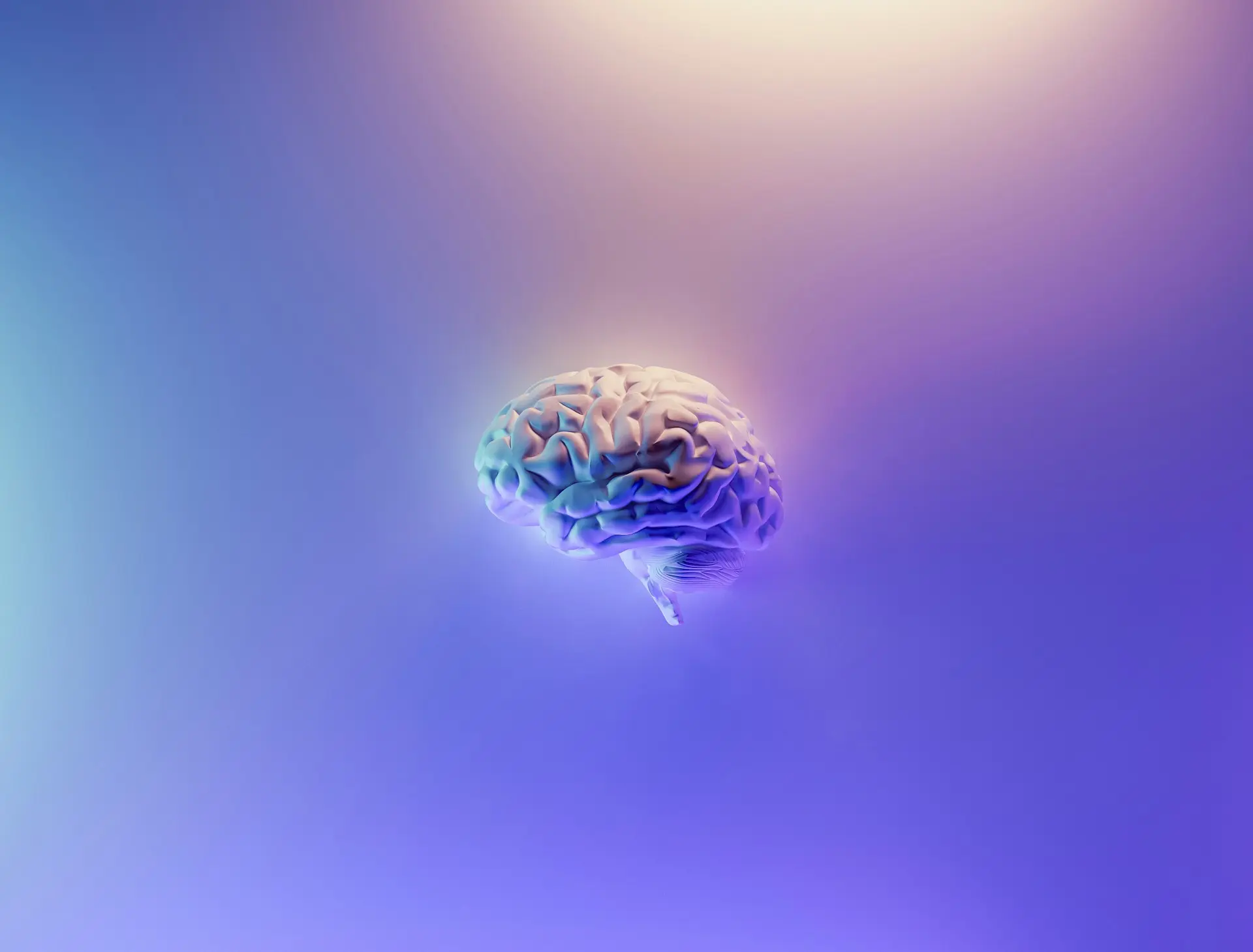 A Complete Guide to Neurological Disorders