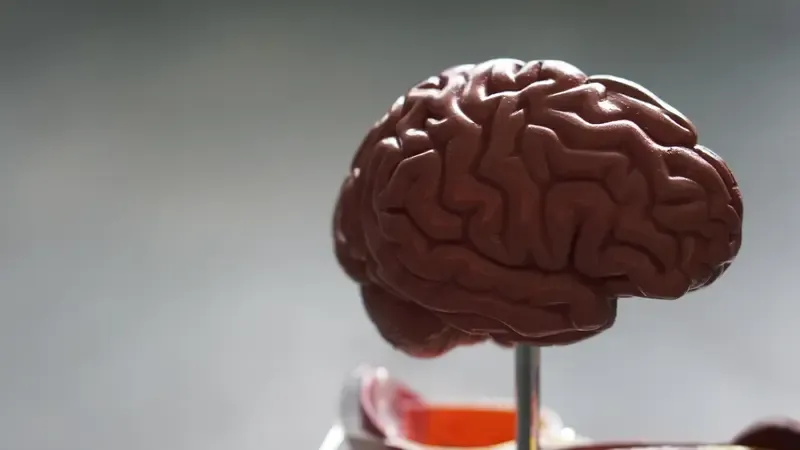 Amnesia and Dementia