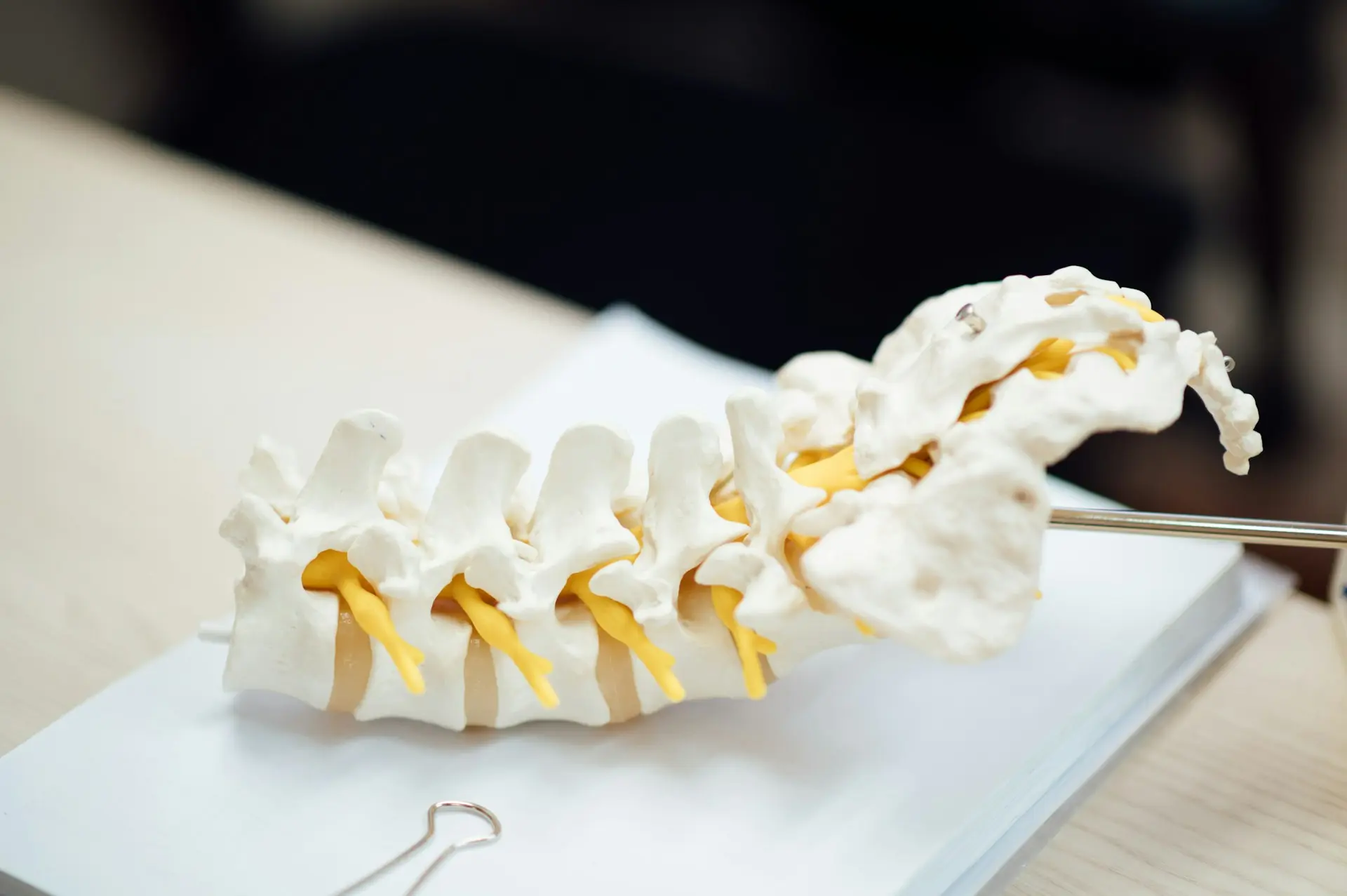 Back Pain in the Elderly: Understanding Causes and Finding Relief