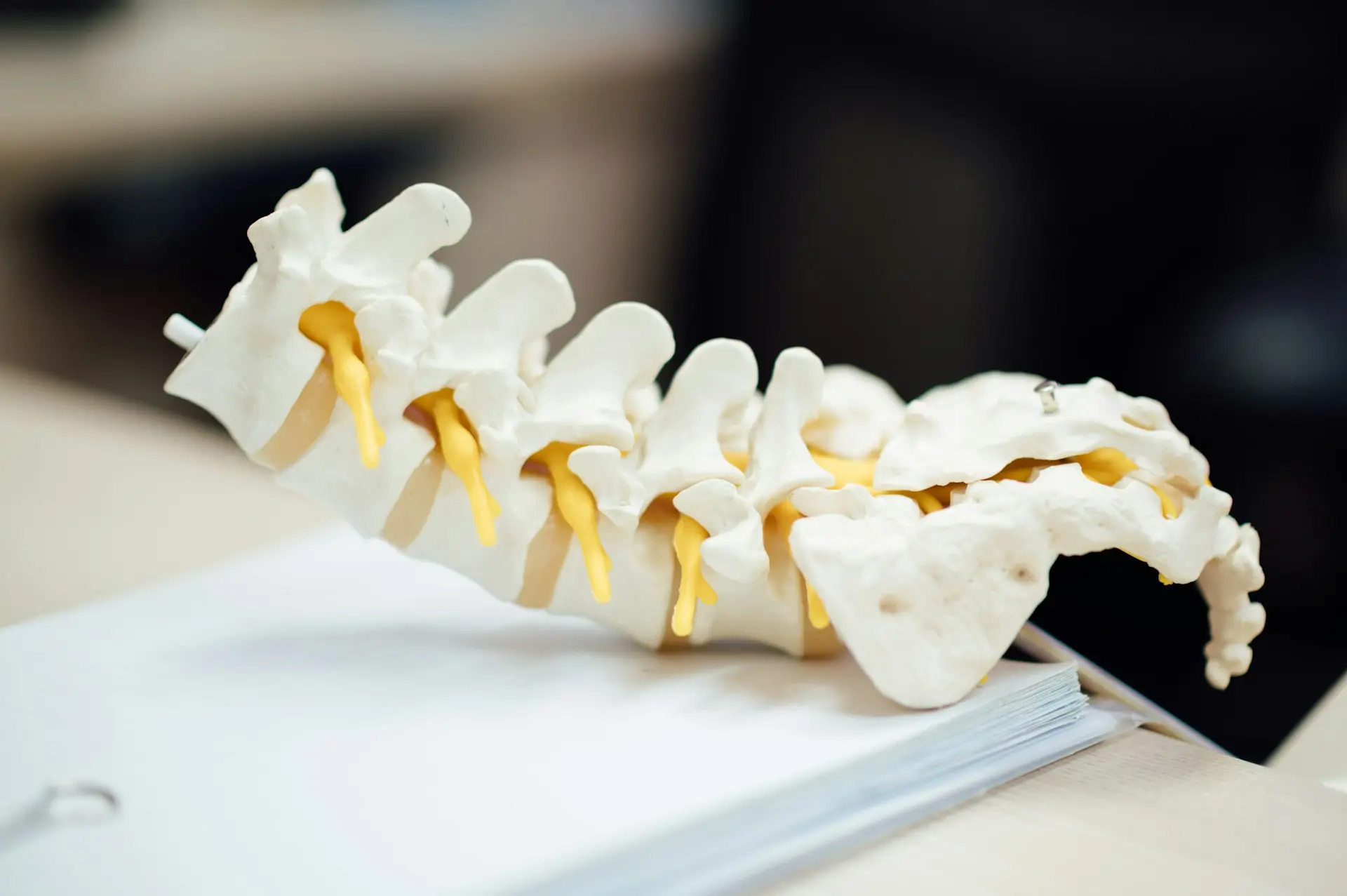 Can Constipation Cause Back Pain? Learn How Digestive Issues May Lead to Back Pain