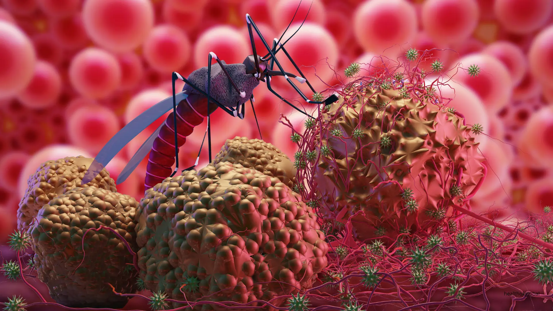 Comprehensive Guide to How Malaria is Caused by Protozoa