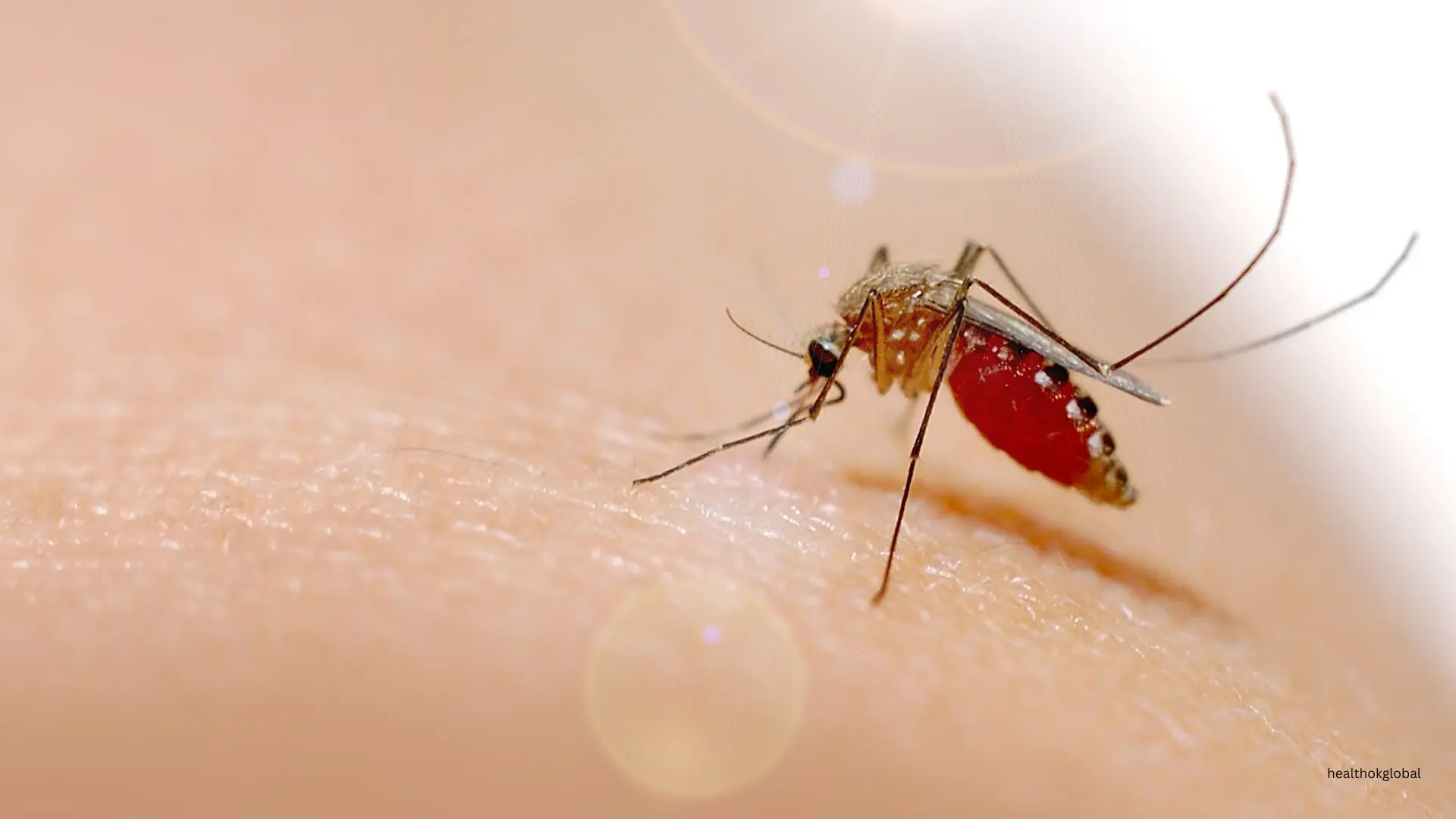 Comprehensive Guide to the Pathophysiology of Malaria