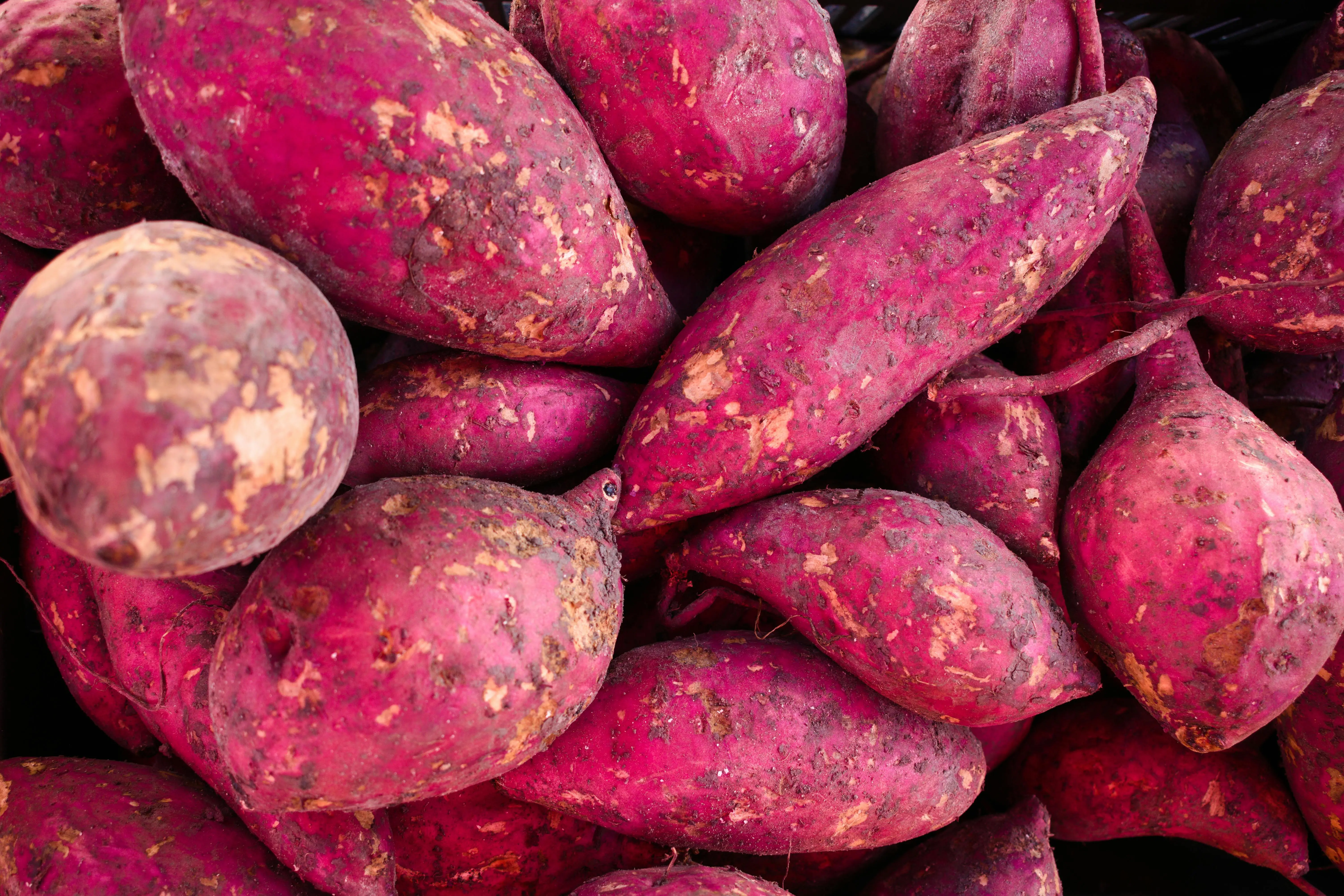 Discovering the Nutritional Powerhouse: 10 Health Benefits of Sweet Potatoes
