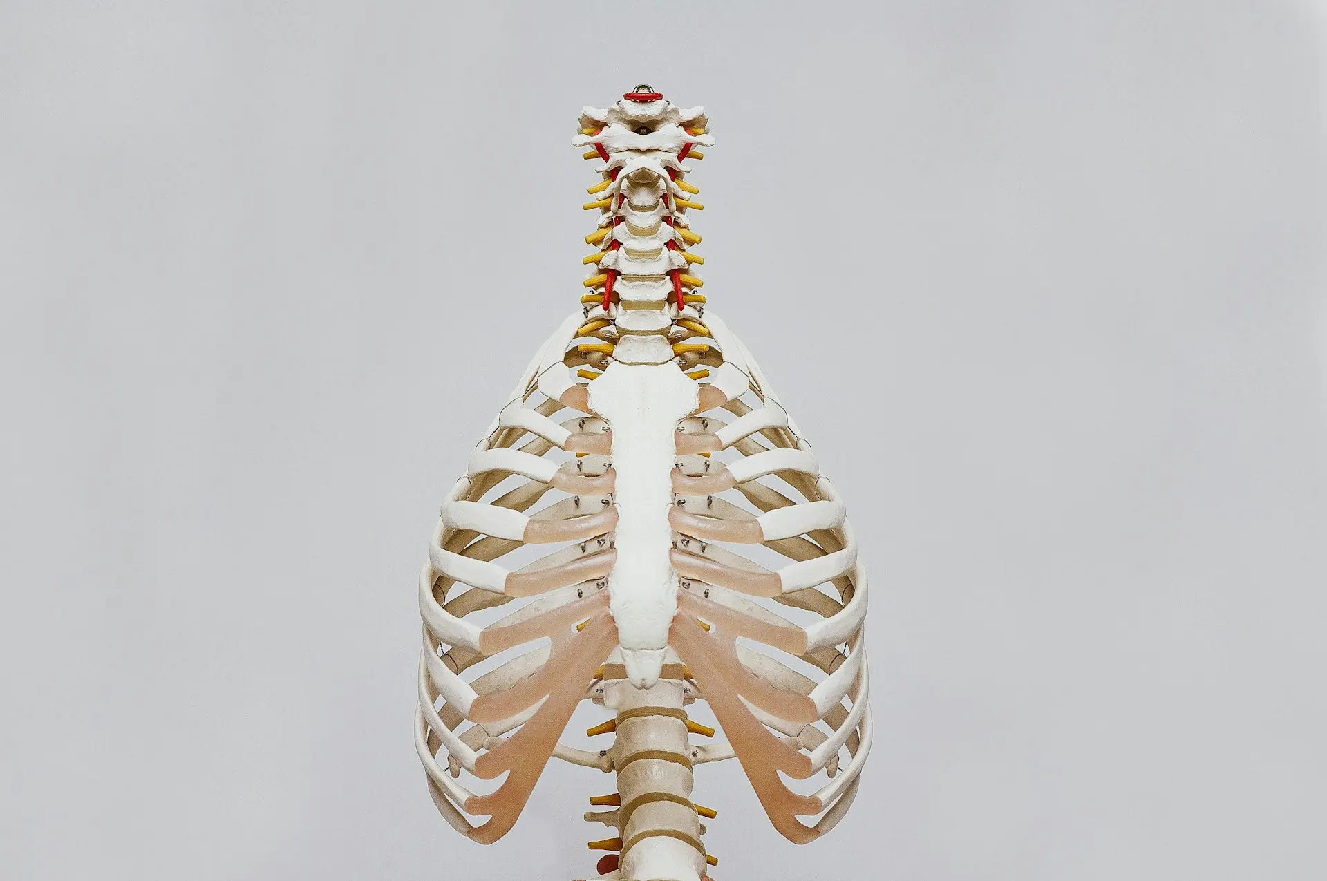 Effective Osteoporosis Strategies: Treatment for Bone Health