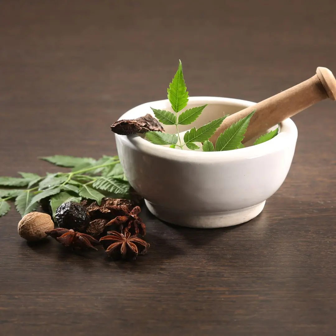 Explore the Best Ayurvedic Medicine for High BP