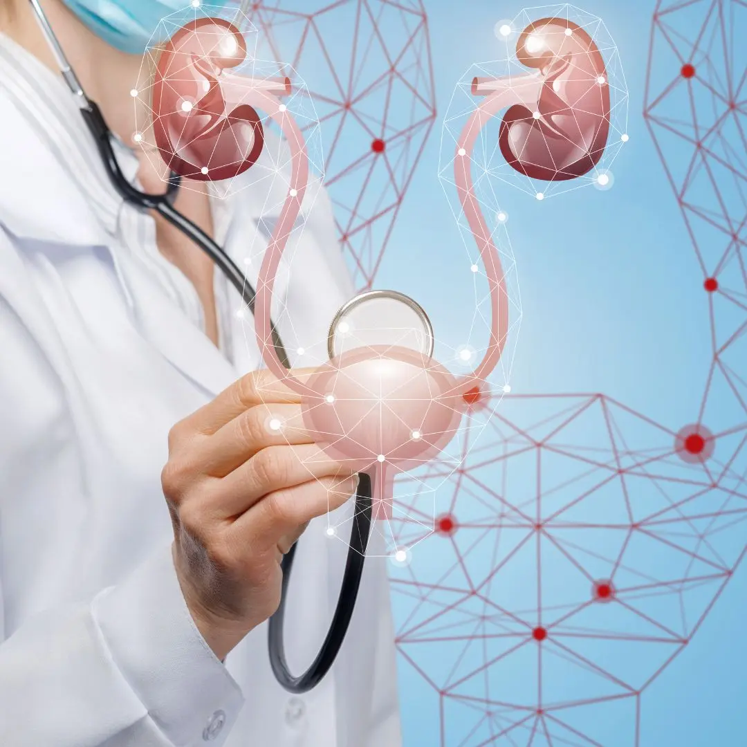 Exploring Atonic Bladder: Causes, Symptoms, and Treatment