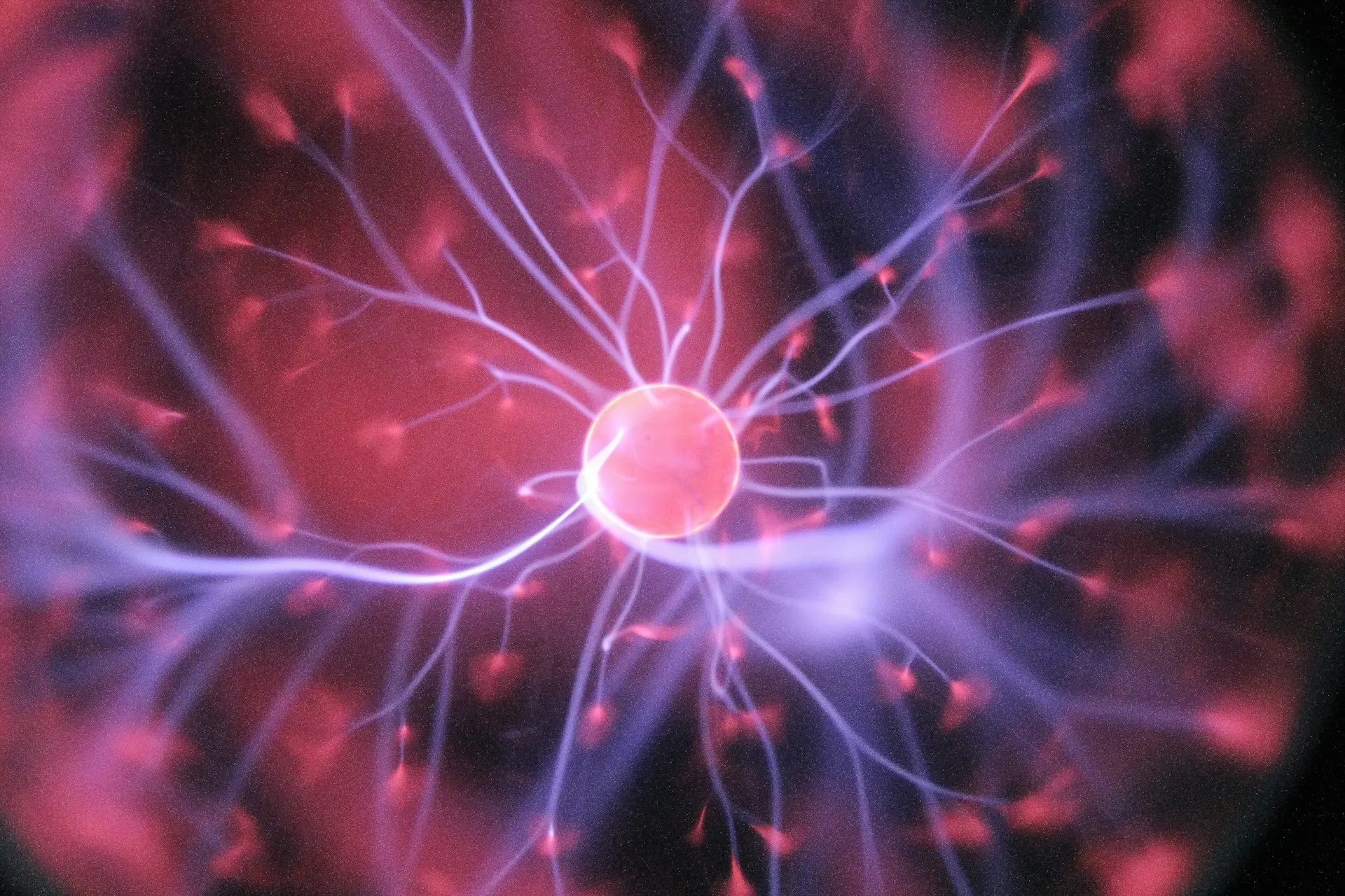 Exploring Neurological Disorders and Their Impact on Balance 