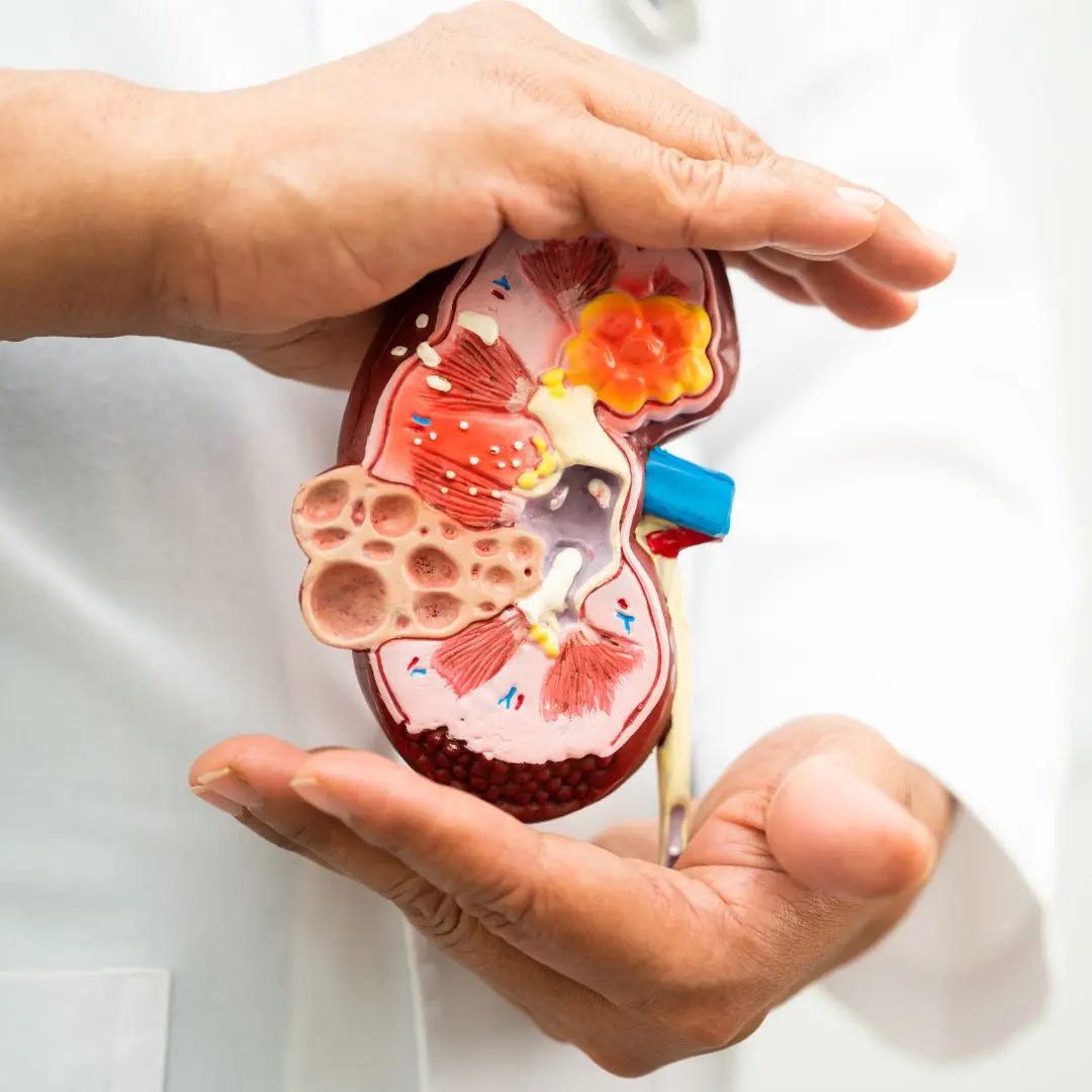Green Chronic Kidney Disease: Understanding Causes and Management