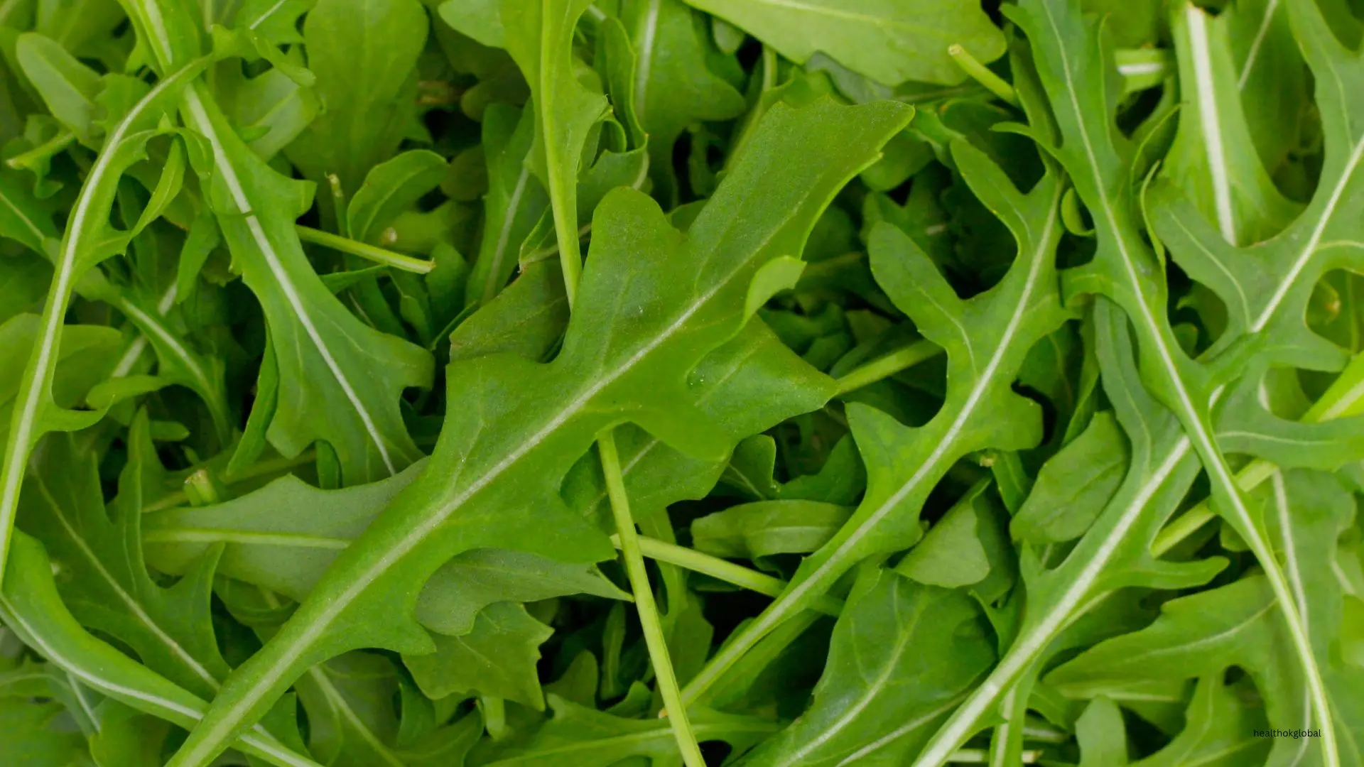 Health Benefits of Rocket Leaves: A Nutrient-Packed Green