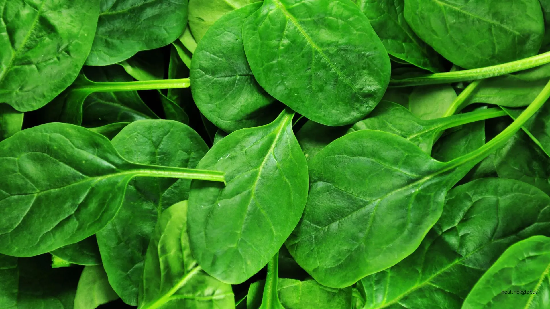 Health Benefits of Water Spinach: A Nutritional Powerhouse