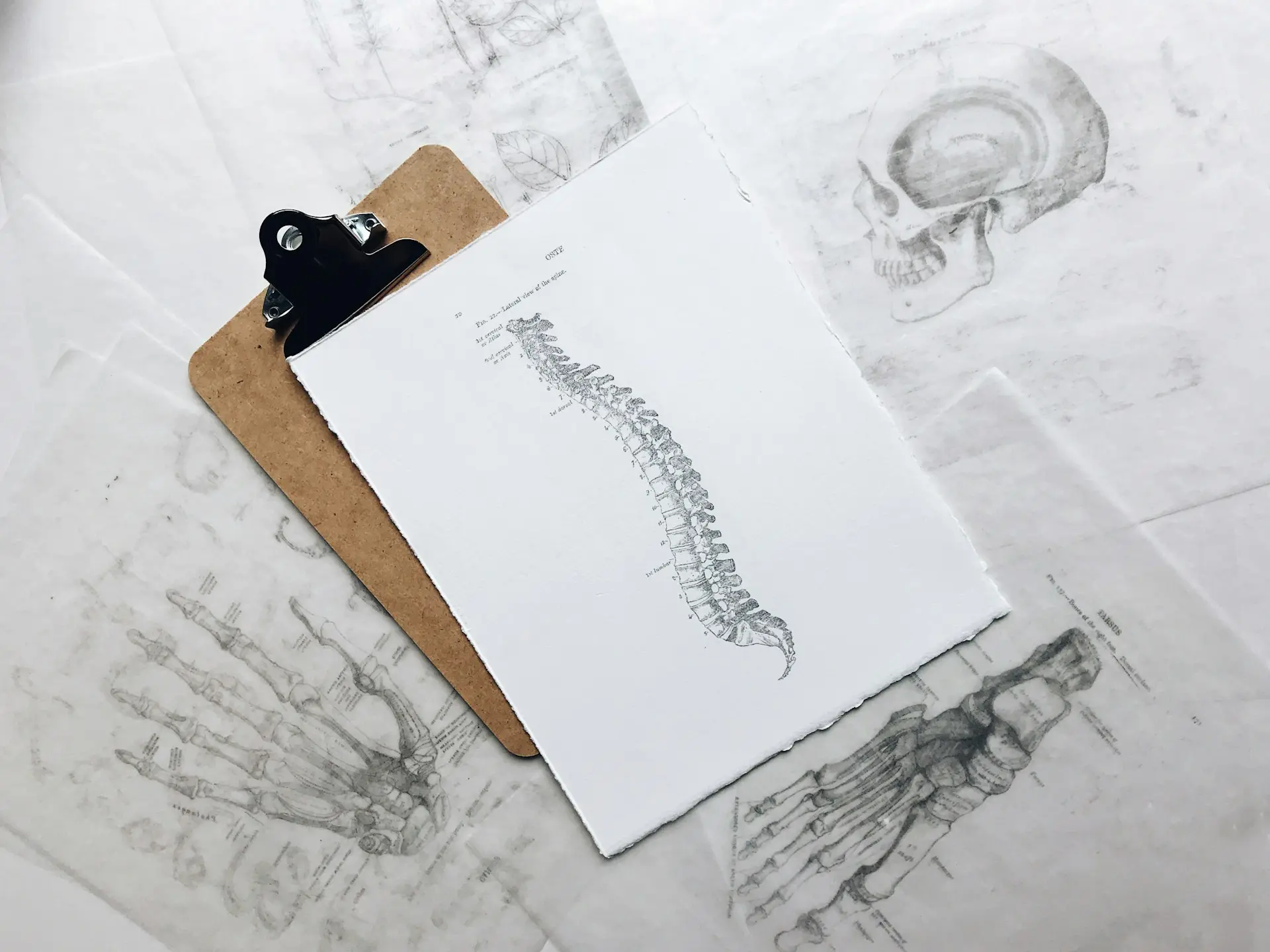 Osteoporosis Pathophysiology: A Comprehensive Overview