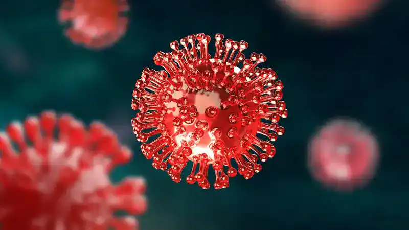 Pathogenesis of HIV: Key Mechanisms Explained