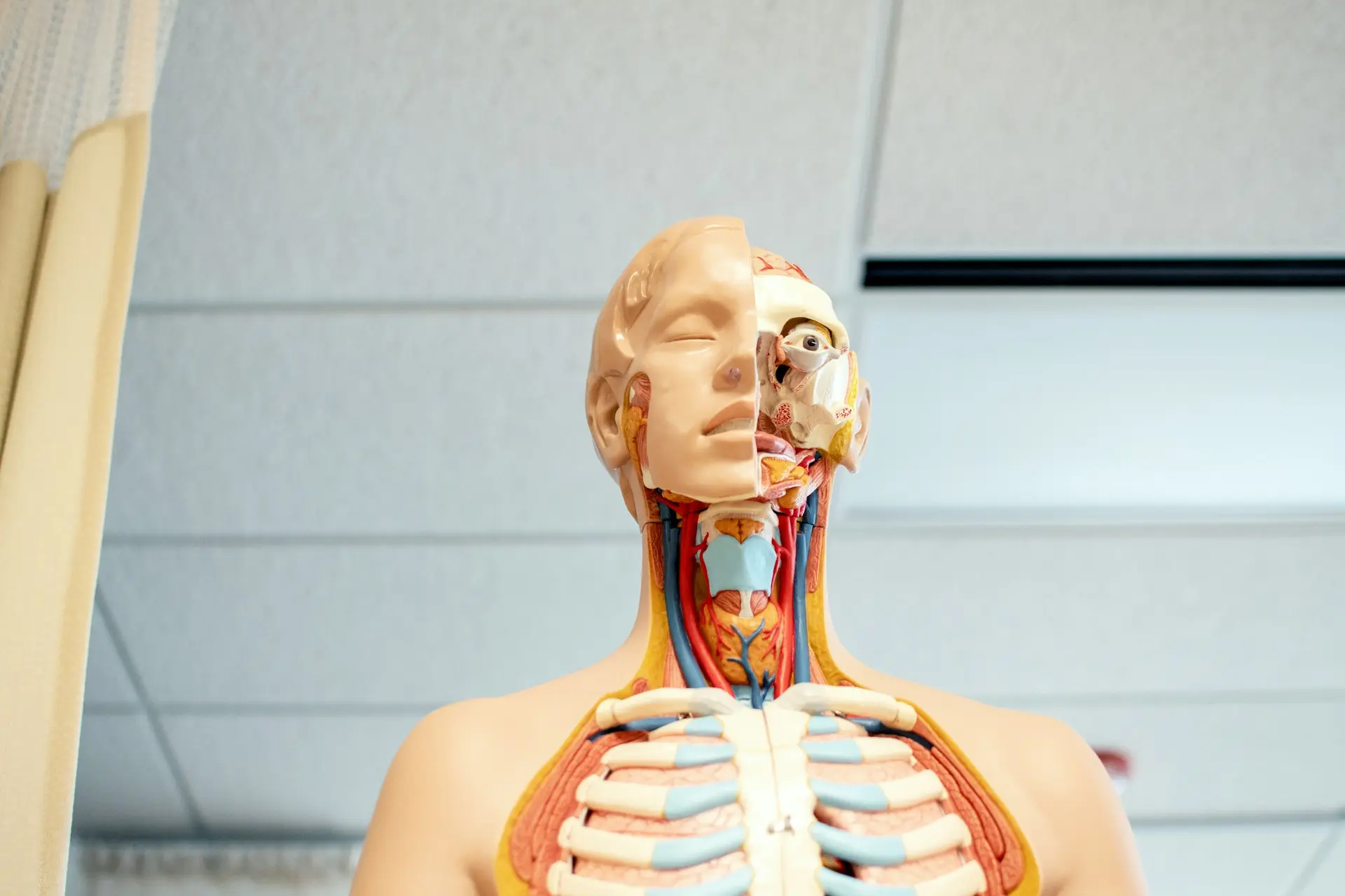 Strep Throat Infection in the Elderly: A Complete Guide