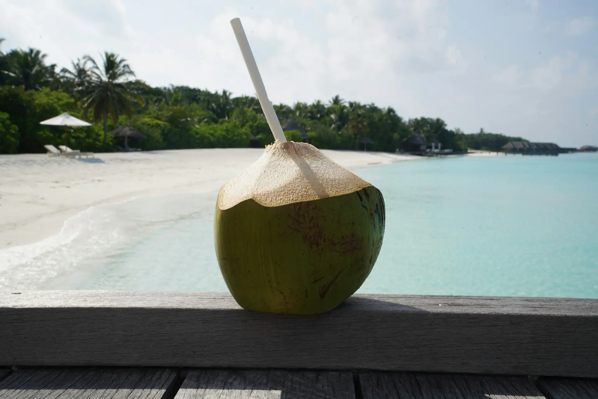 The Hydration Elixir: Exploring the World of Coconut Water