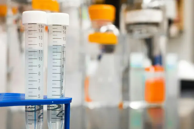 Understanding Albumin in Urine: Causes, Prevention, and Treatment