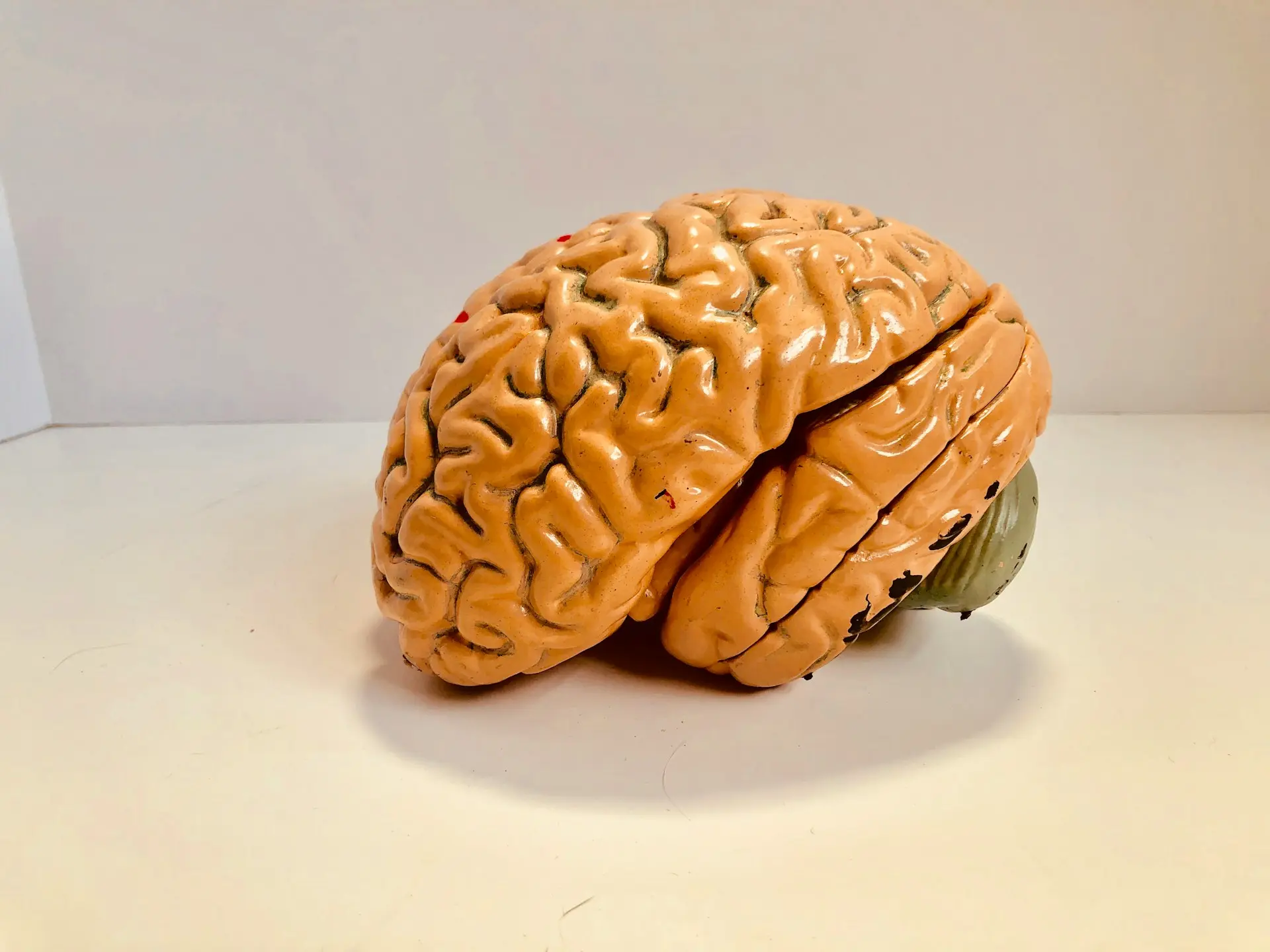 Understanding Blood Clot in Brain 