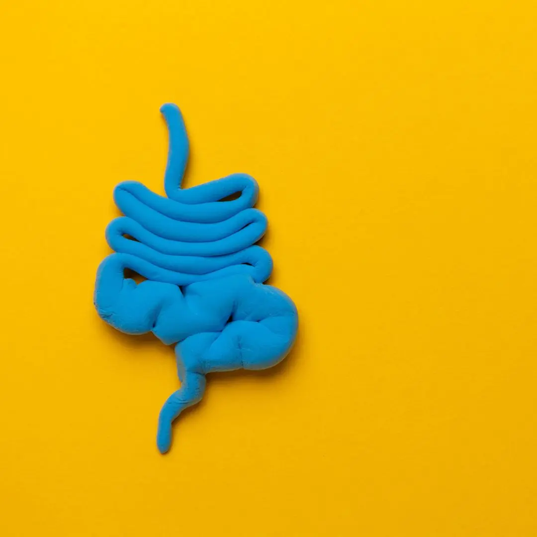 Understanding Dilated Bowel Loops: Causes, Symptoms, and Treatment