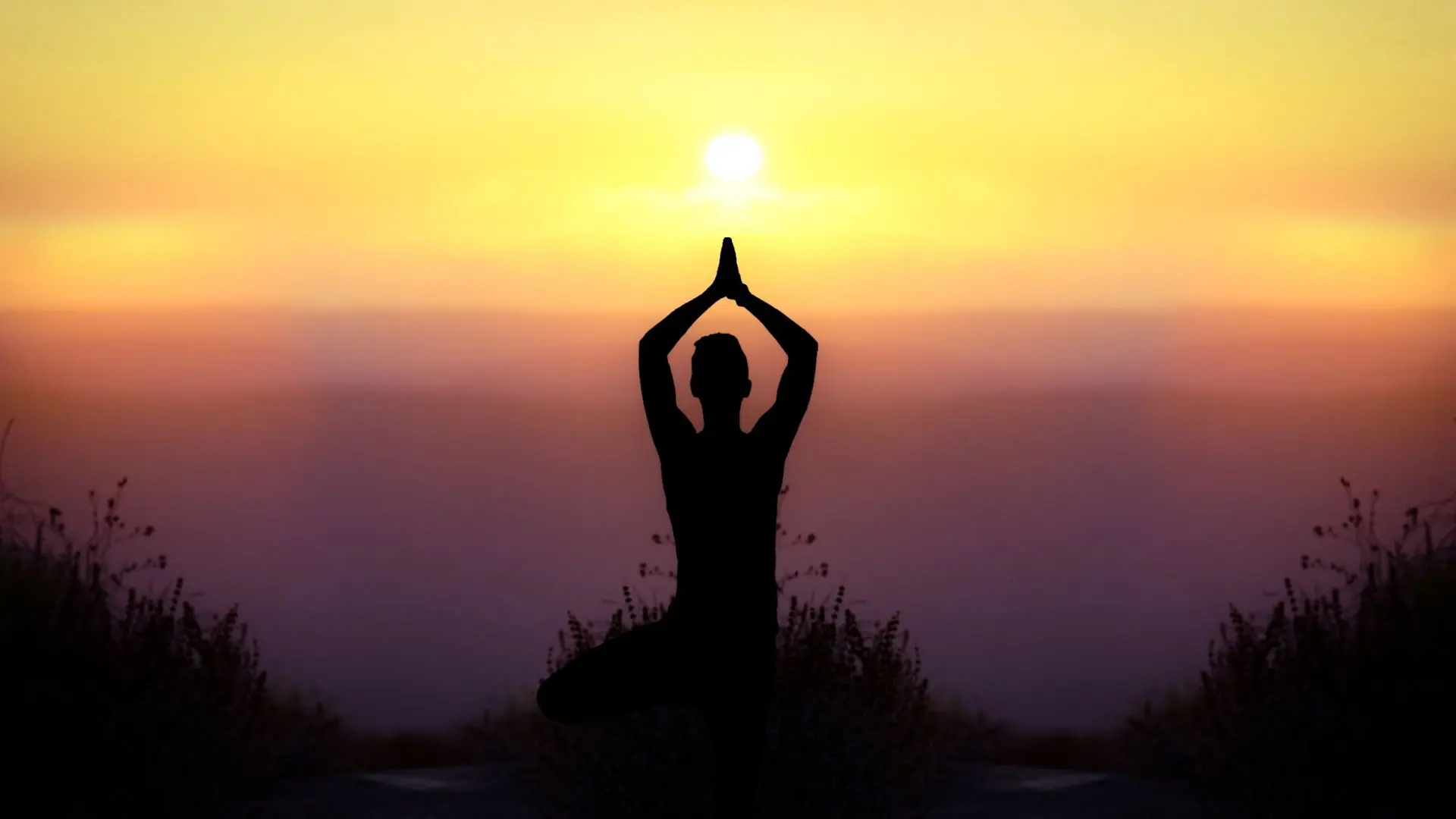 Understanding the 8 Limbs of Yoga: A Path to Holistic Wellness