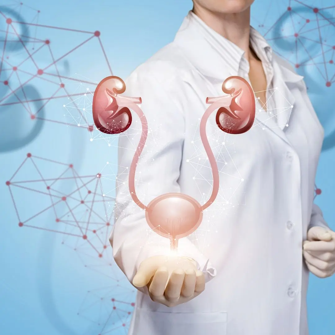 Understanding the Trigone of Bladder: Comprehensive Guide