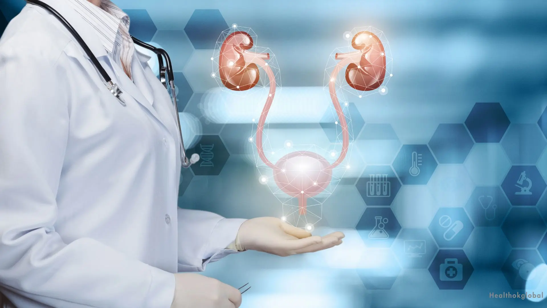 Understanding the Trigone of the Bladder: Structure and Function