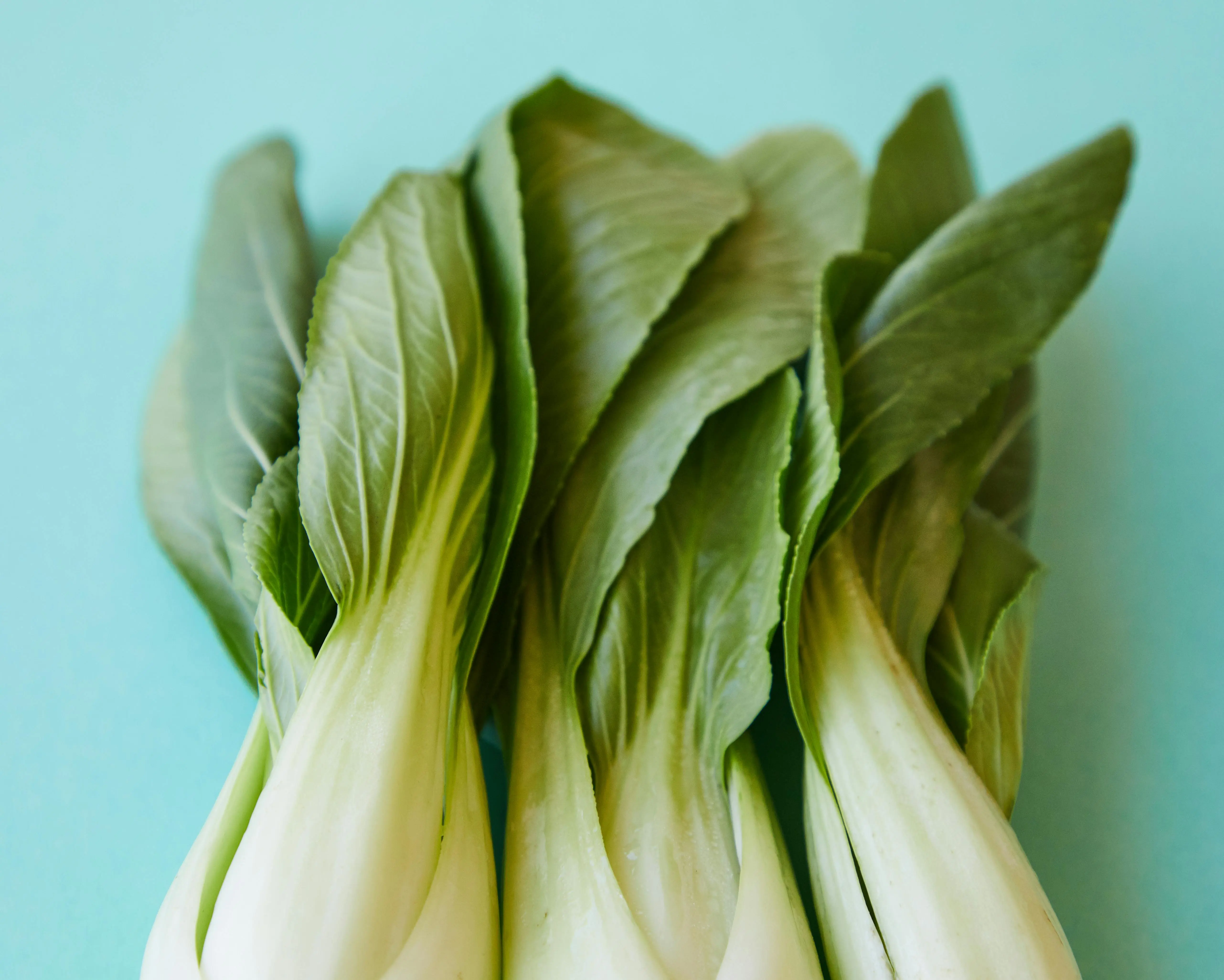 Bok Choy