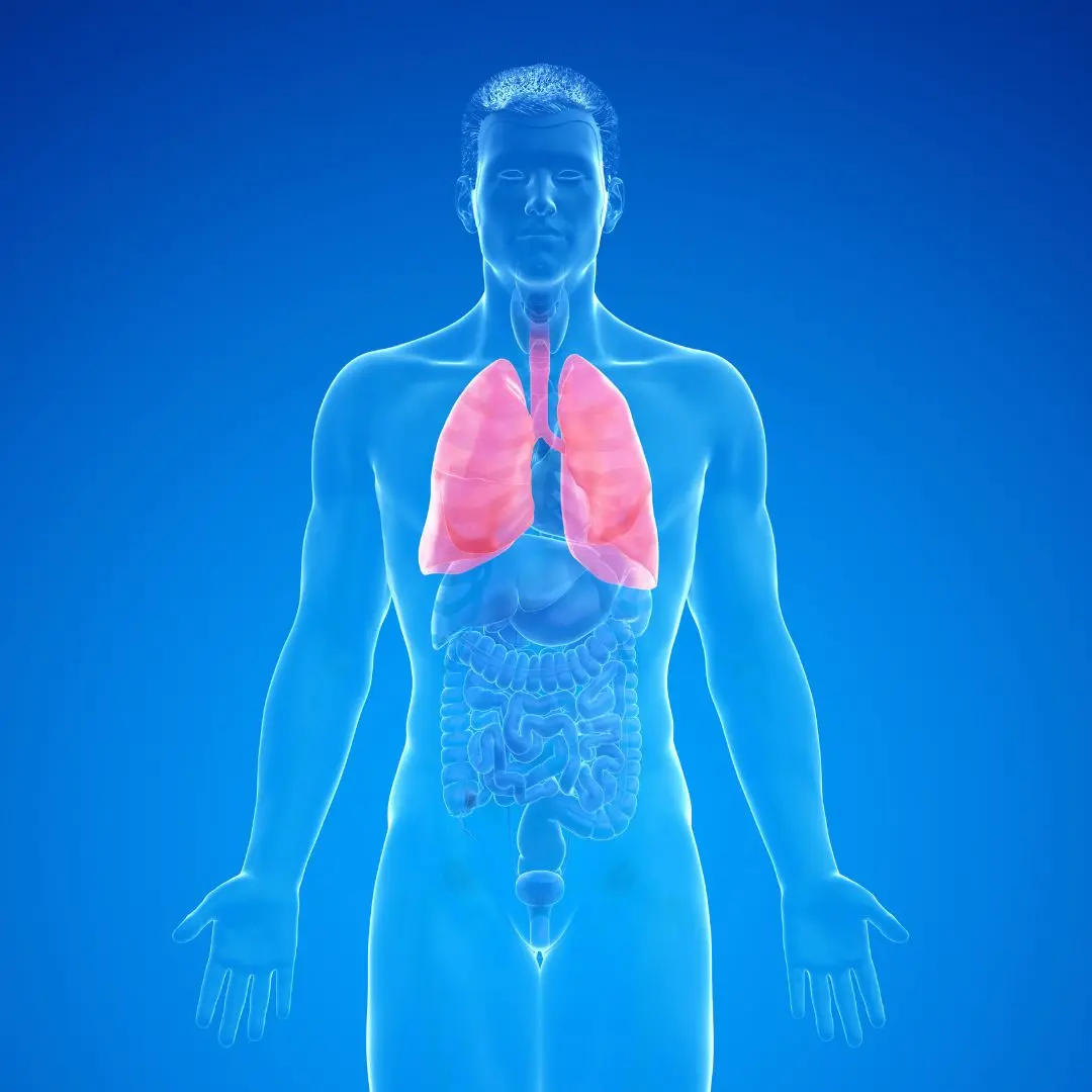 Cystic Lung Disease