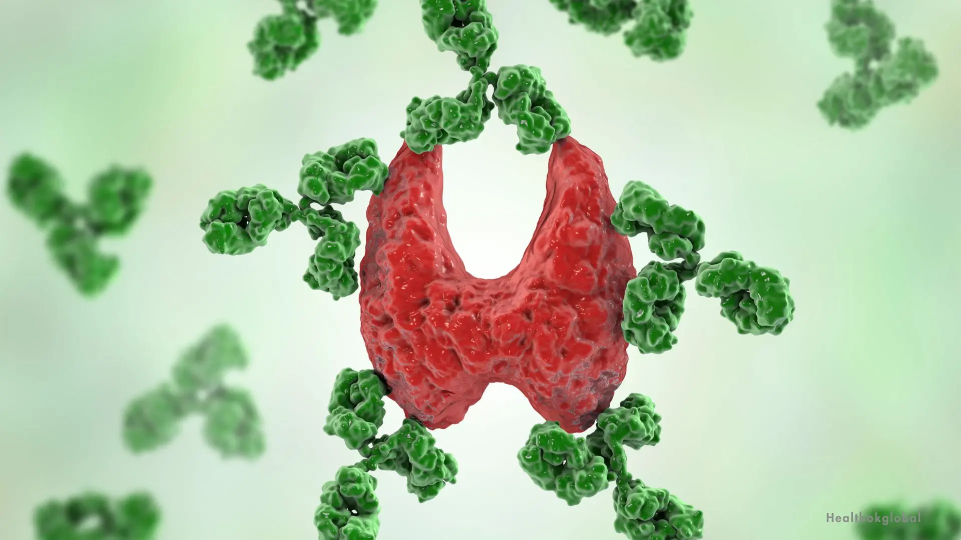 Thyroid Peroxidase Antibodies