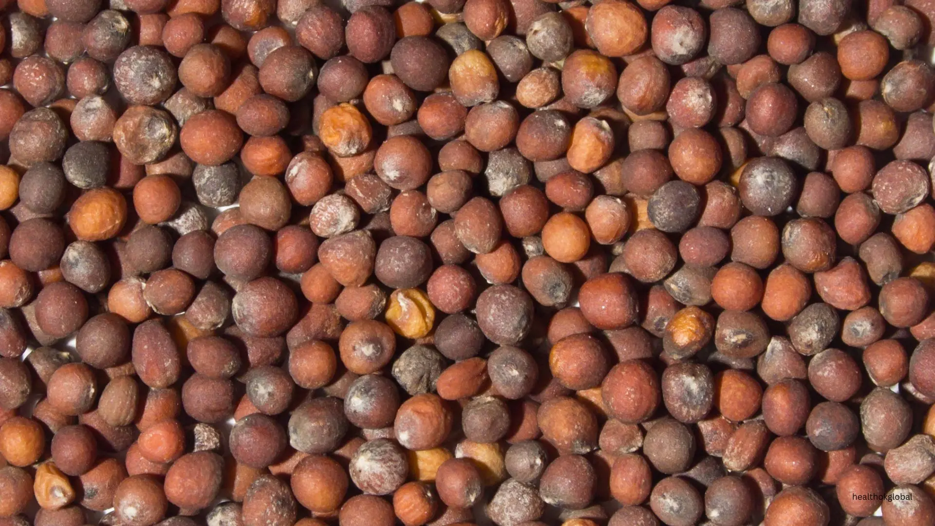 cauliflower seeds