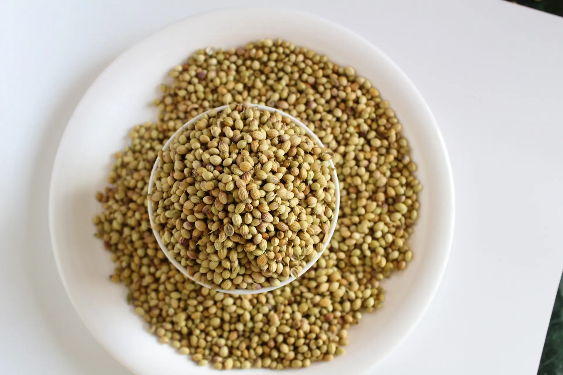 Coriander seeds