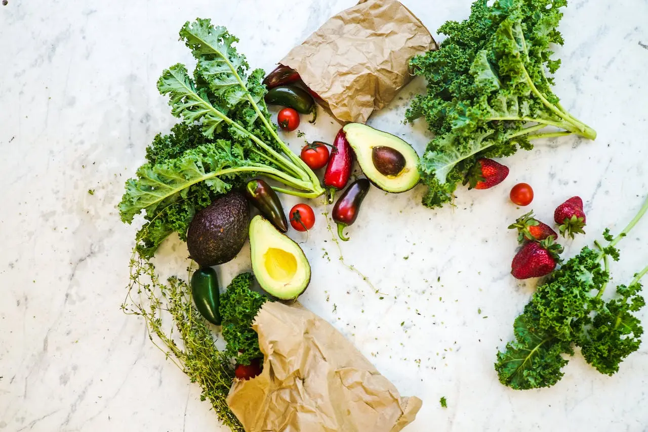 Elderly Nutrition